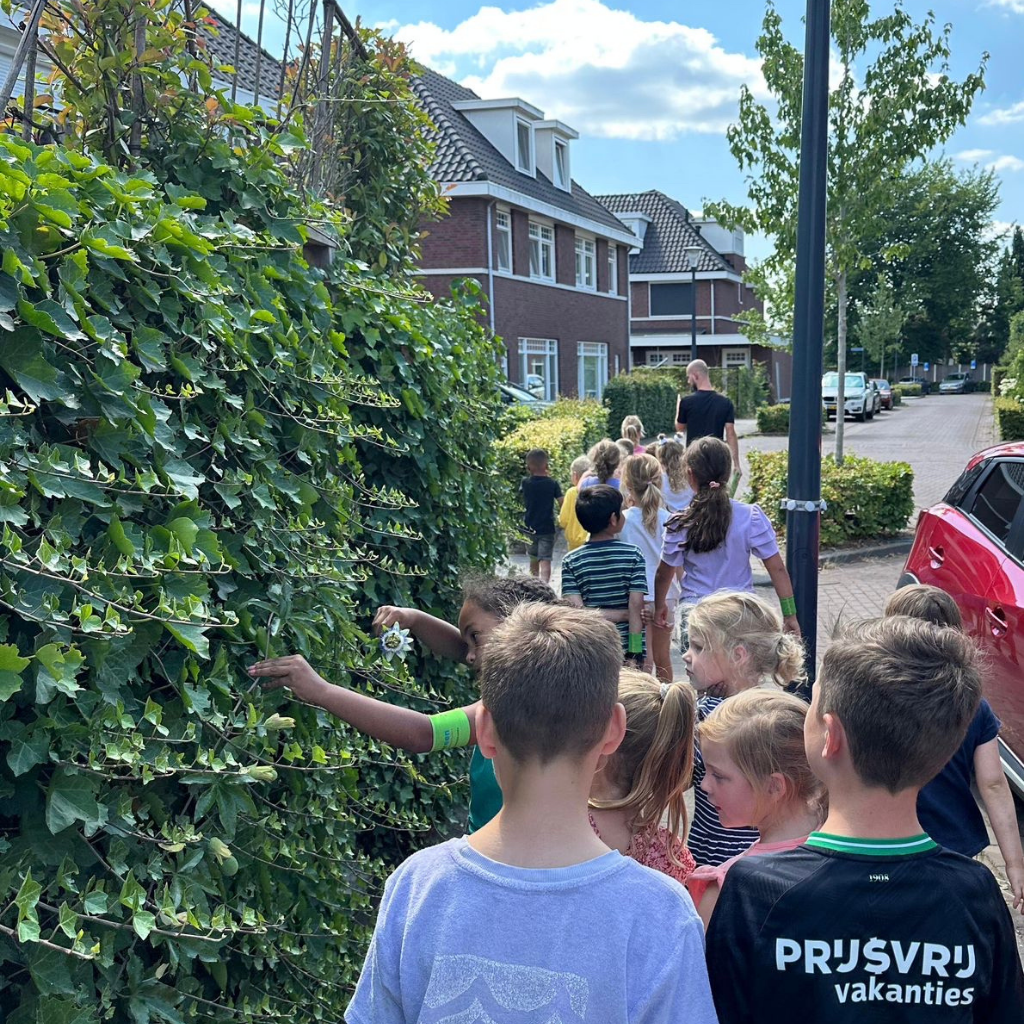 ontwerp zonder titel (16)