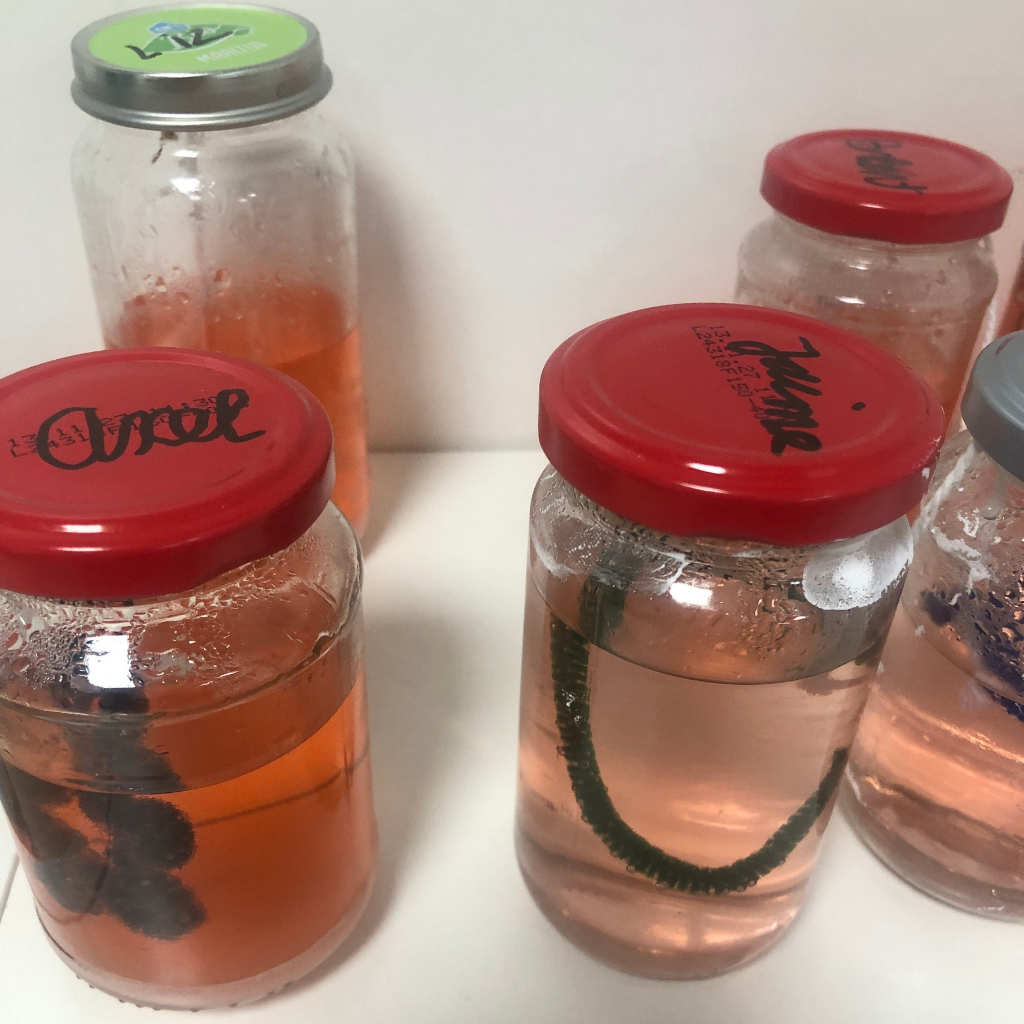 ontwerp zonder titel (28)