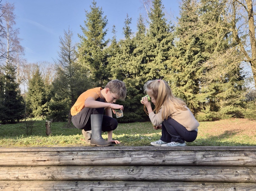 foto bazenbos duizel