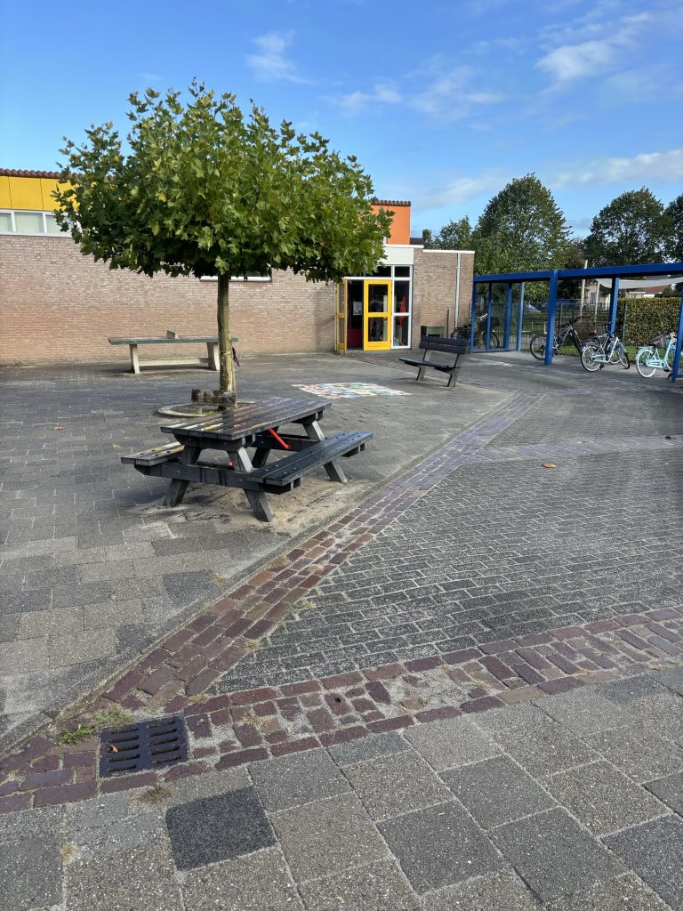 image (2)